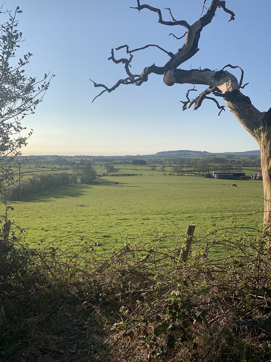 COVID-19 - staff catch up - week three