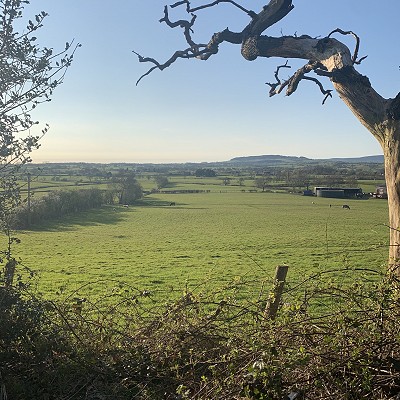COVID-19 - staff catch up - week three