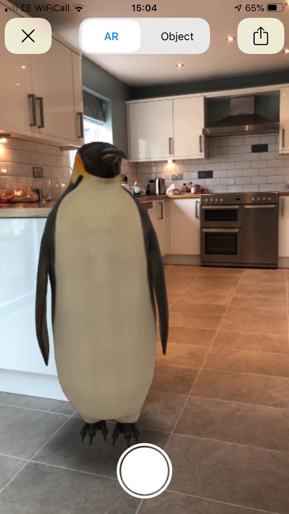 COVID-19 - staff catch up - week two