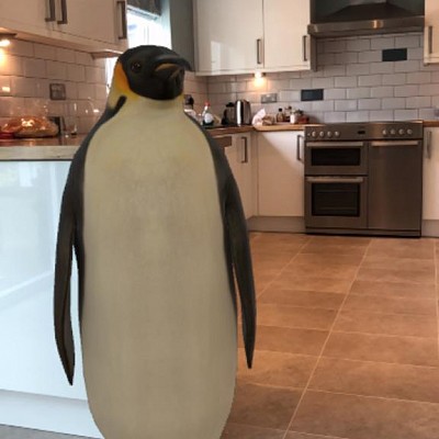 COVID-19 - staff catch up - week two