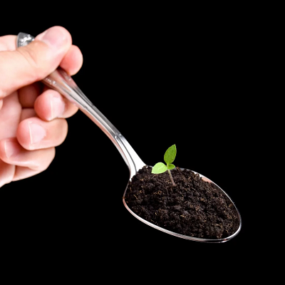 Eating and Autism - Pica