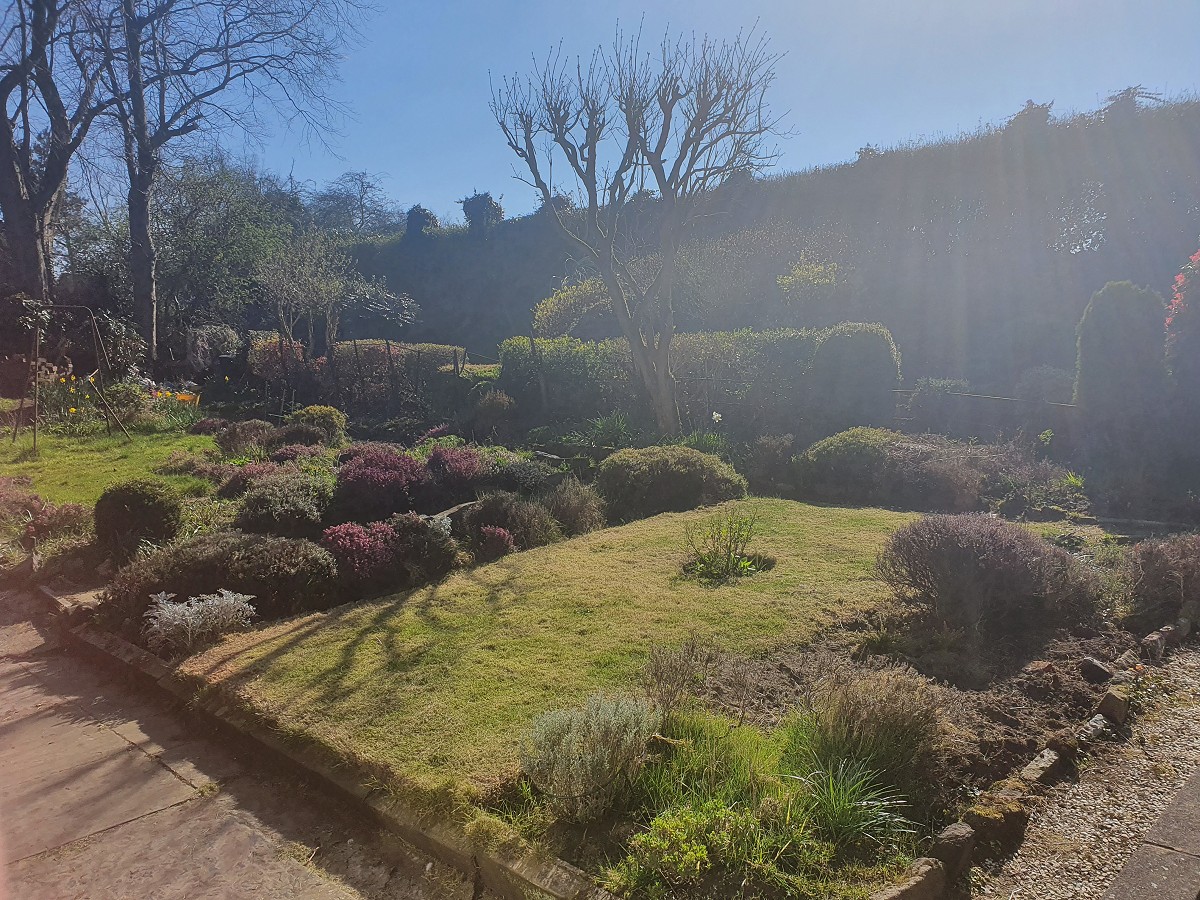 COVID-19 - staff catch up - week one part two