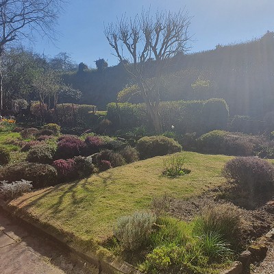 COVID-19 - staff catch up - week one part two