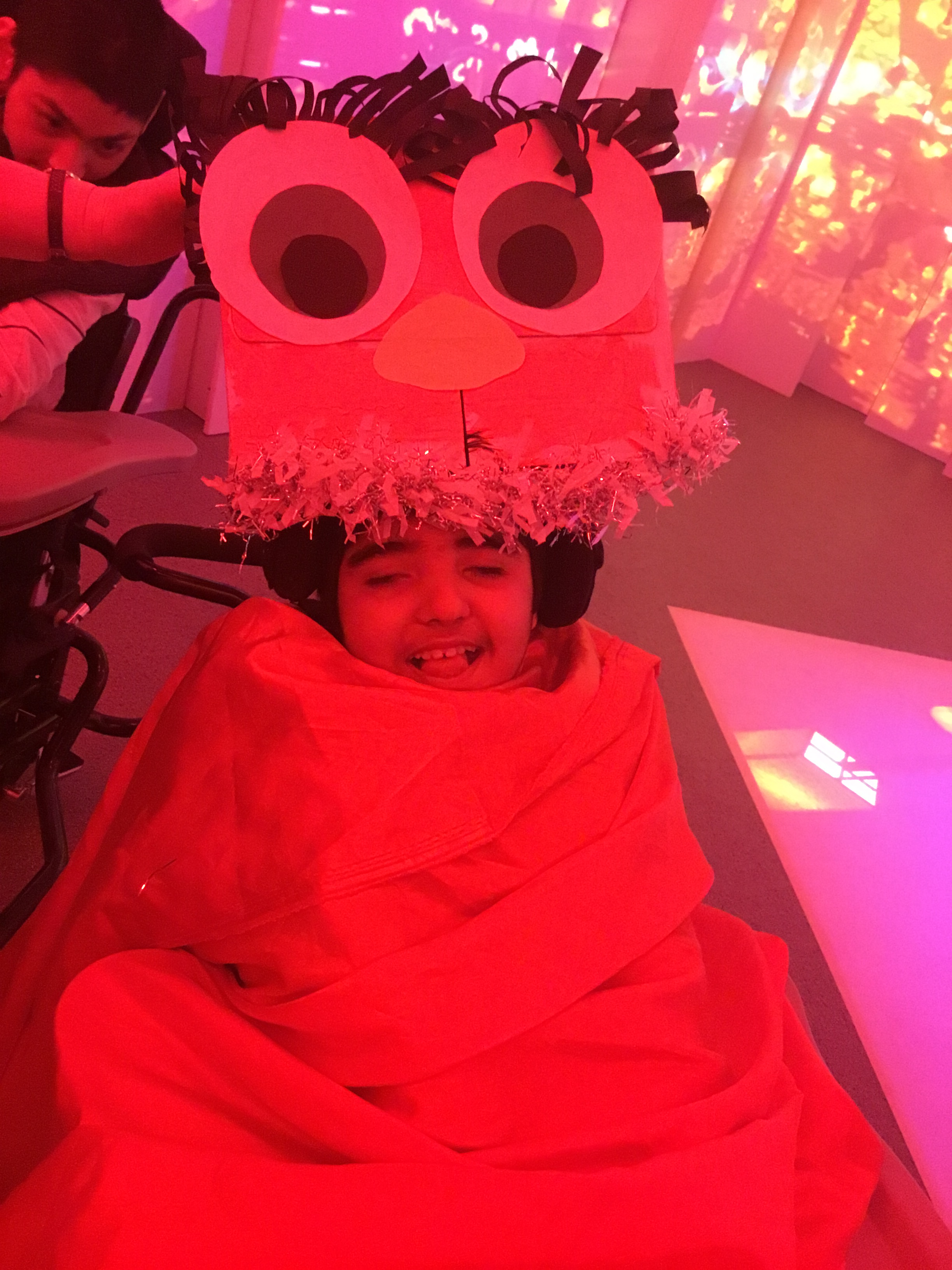 Chinese New Year 2018