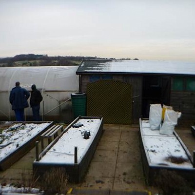 Ice Cold New Year Allotment Visit