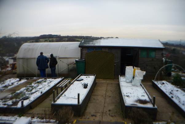 Ice Cold New Year Allotment Visit