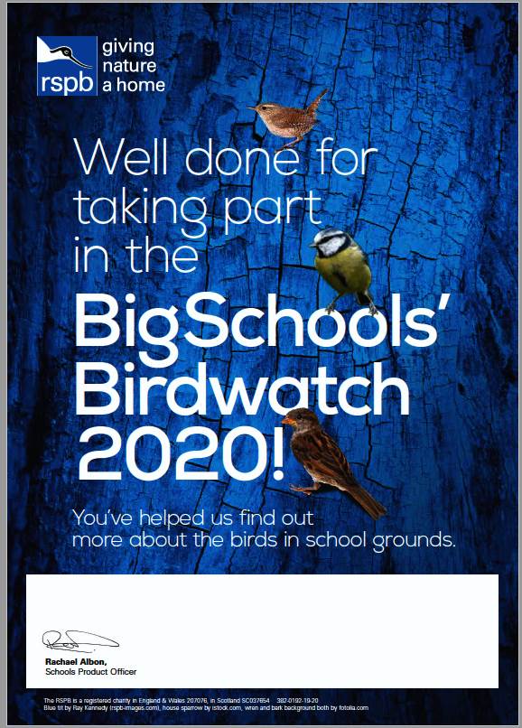 Birdwatch 2020