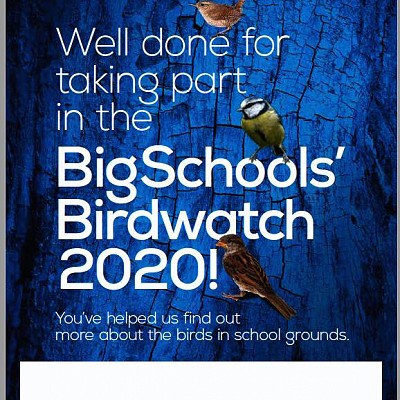 Birdwatch 2020