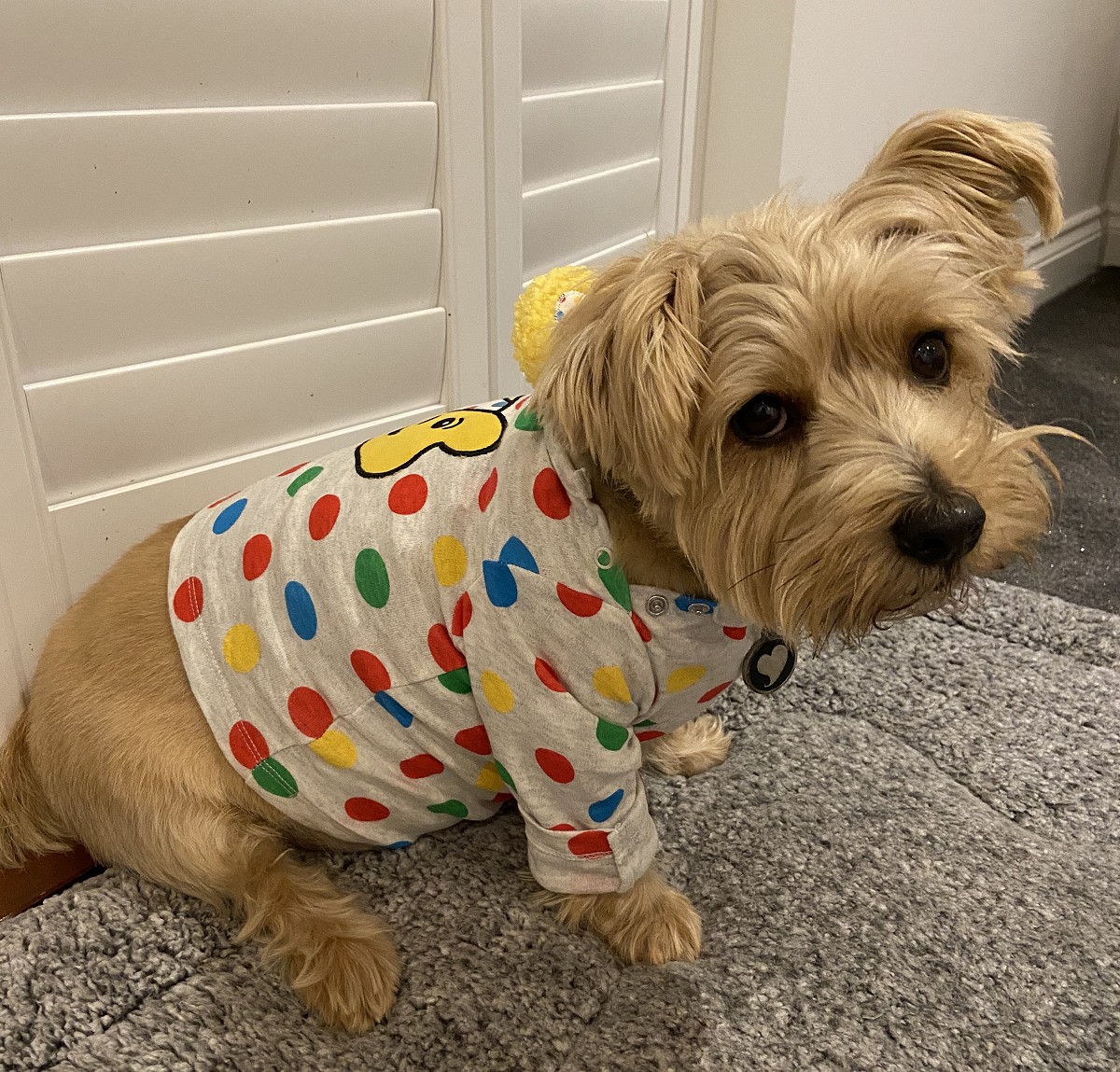 Children in Need 2020