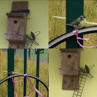 Looking after our Environment