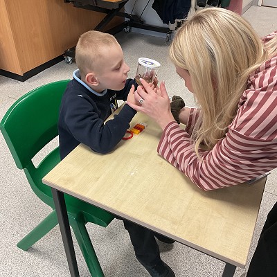 A Colourful Summer Begins