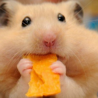 Autism and Eating - Over Eating