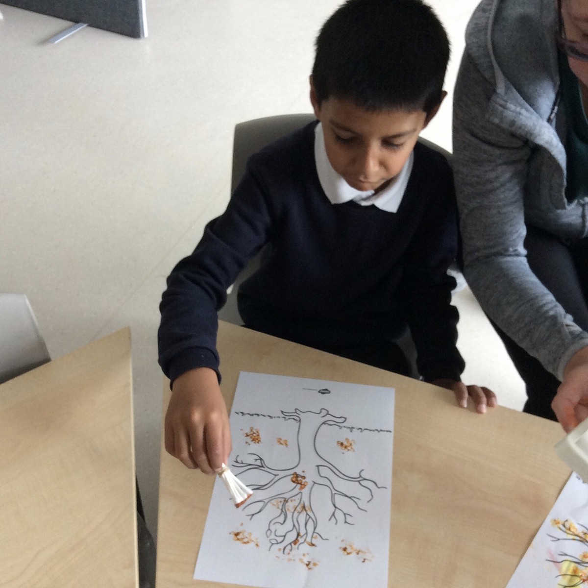 Special Interests and Autism