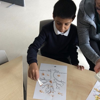 Special Interests and Autism