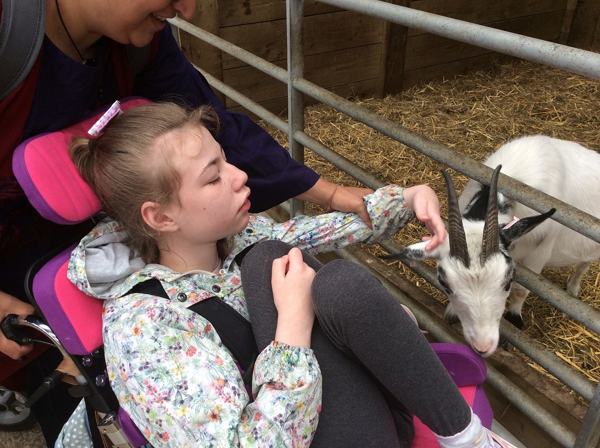 Class 6 Trip to the Farm