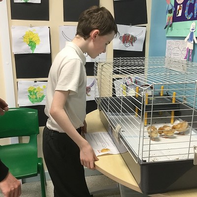 Science Week 2024 - Animals