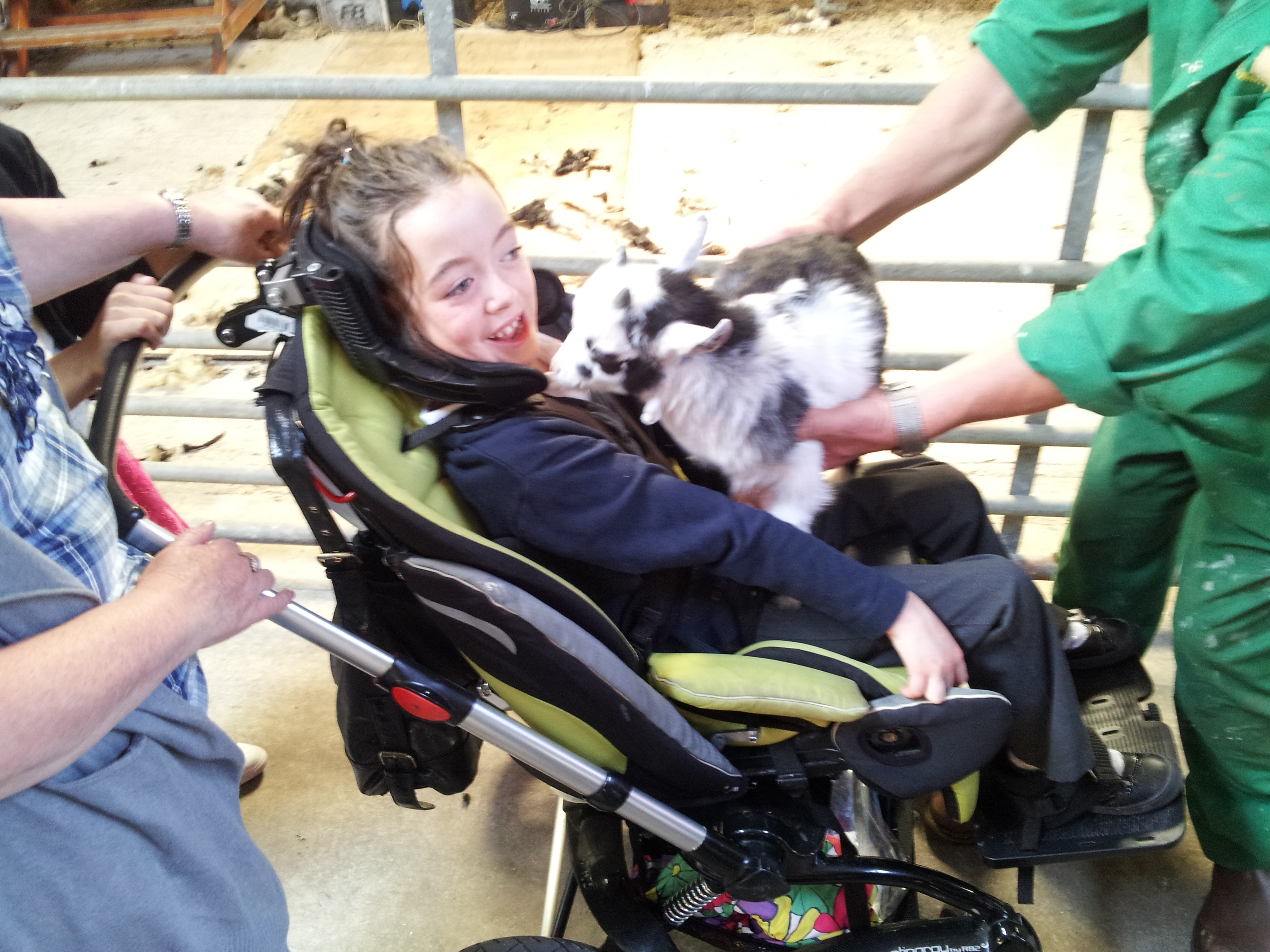 Class 4 - Windmill Farm visit