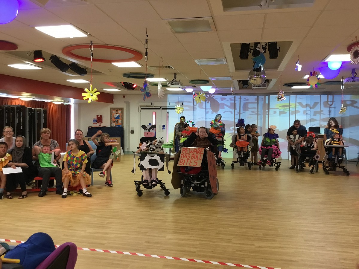 Primary Performance 2018