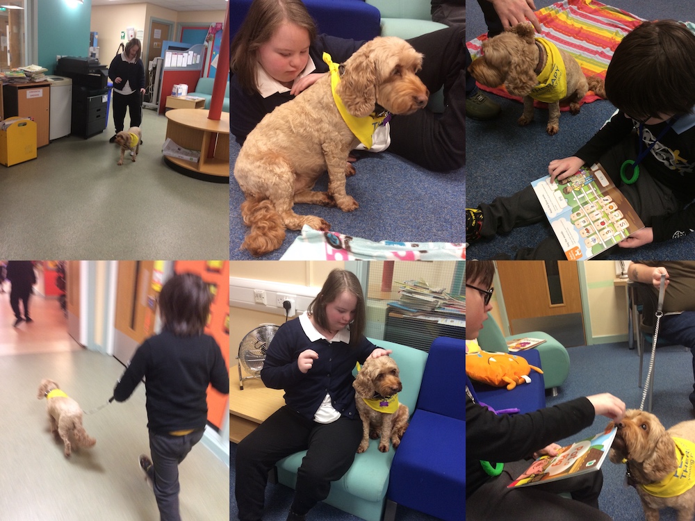 Harley comes to school to read!