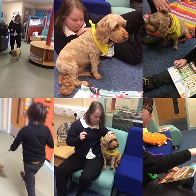 Harley comes to school to read!