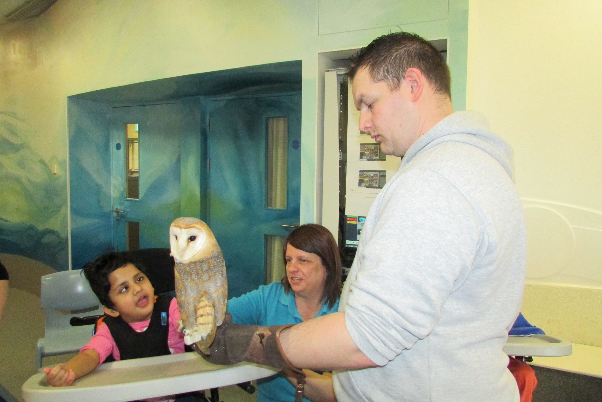 Science Week: Animals and their Habitats