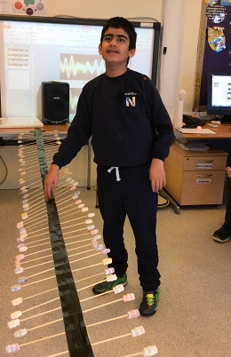 Jelly Waves in Science