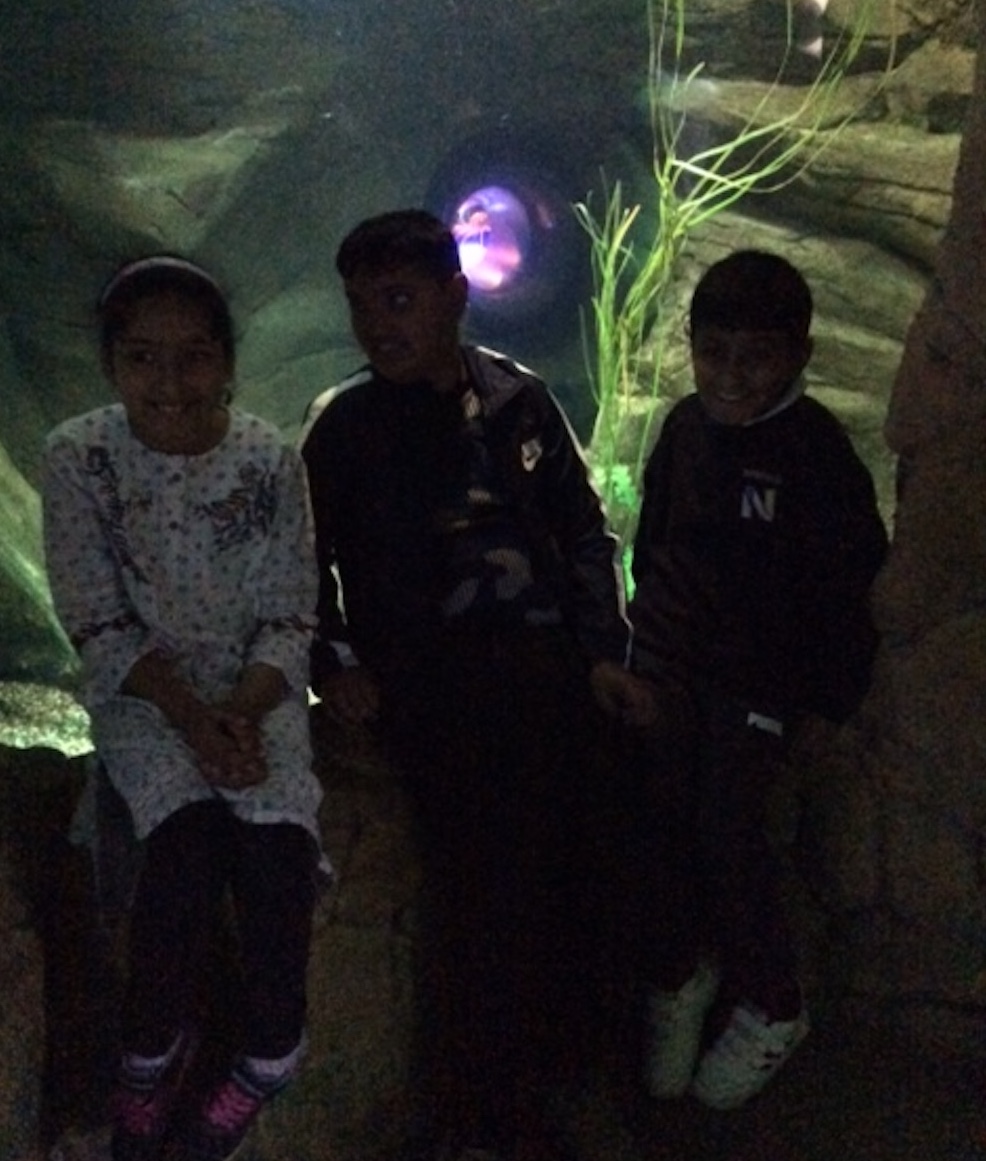 Summer Trips 2023 - part III