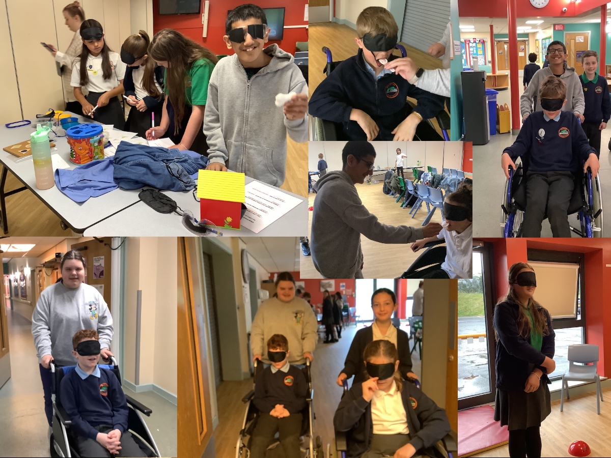 disability awareness