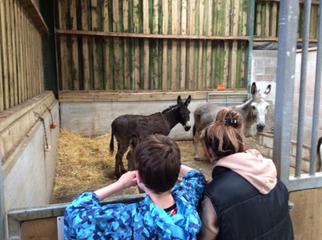 Summer Trips 2023 - part V