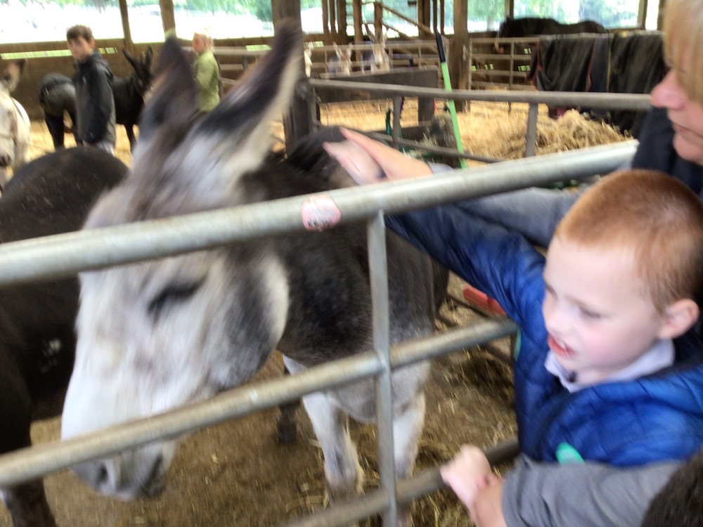 Summer trips 2023 - part VI