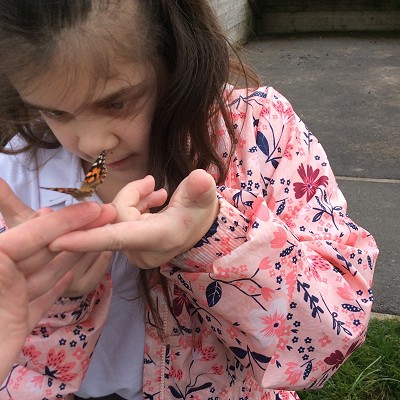 Newfield Butterfly House 2019