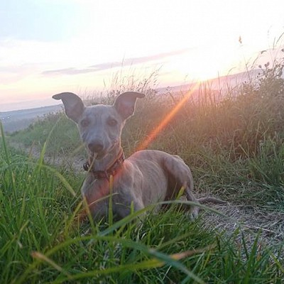 Introducing Eddie...