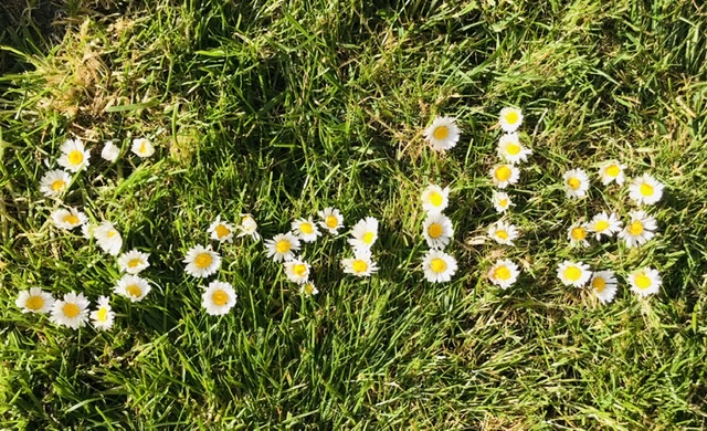 COVID-19 - staff and pupil catch up - week five