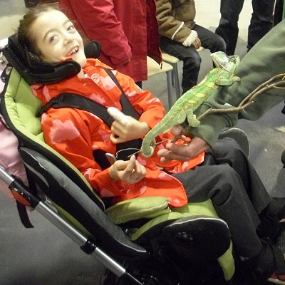 Class 4 at Wellybobs Farm