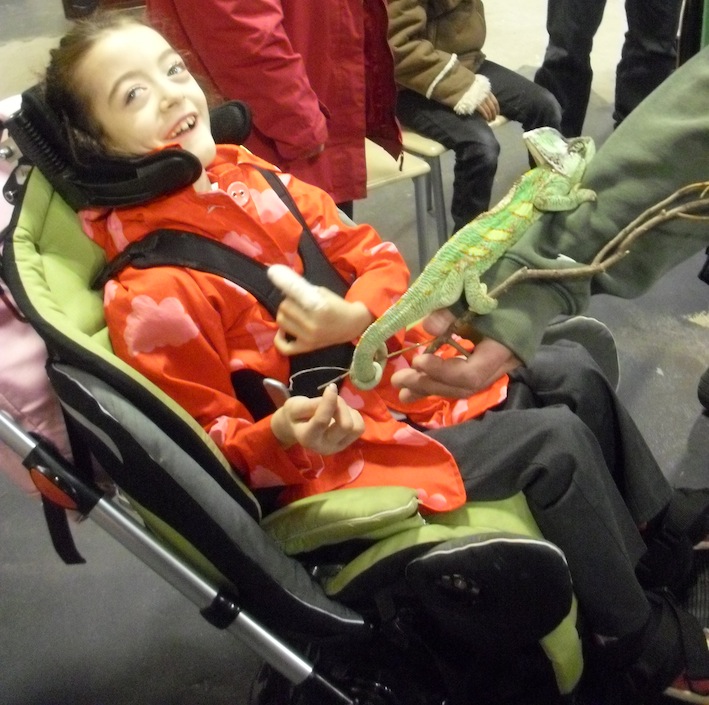 Class 4 at Wellybobs Farm