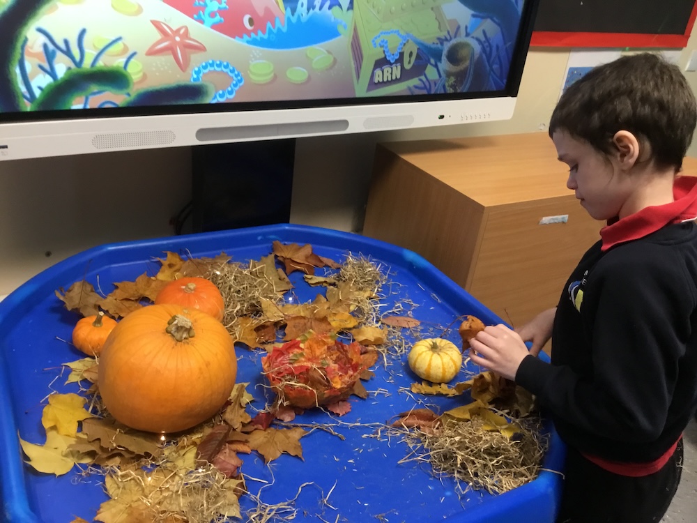 Happy Halloween 2023