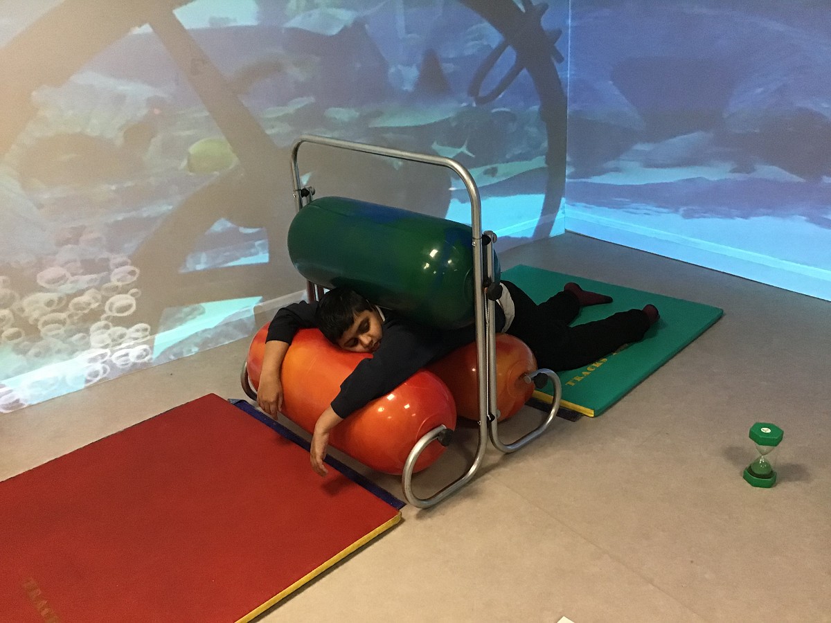 Autism and Sensory Integration