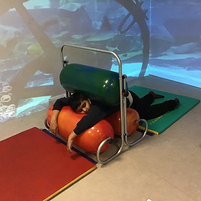 Autism and Sensory Integration