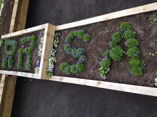 A Blooming Marvellous Year!