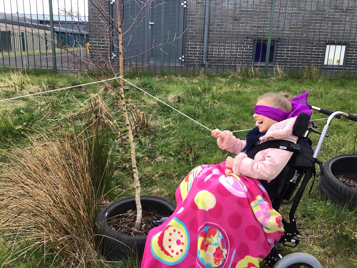 Summer Term Learning