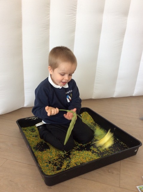 sensory play