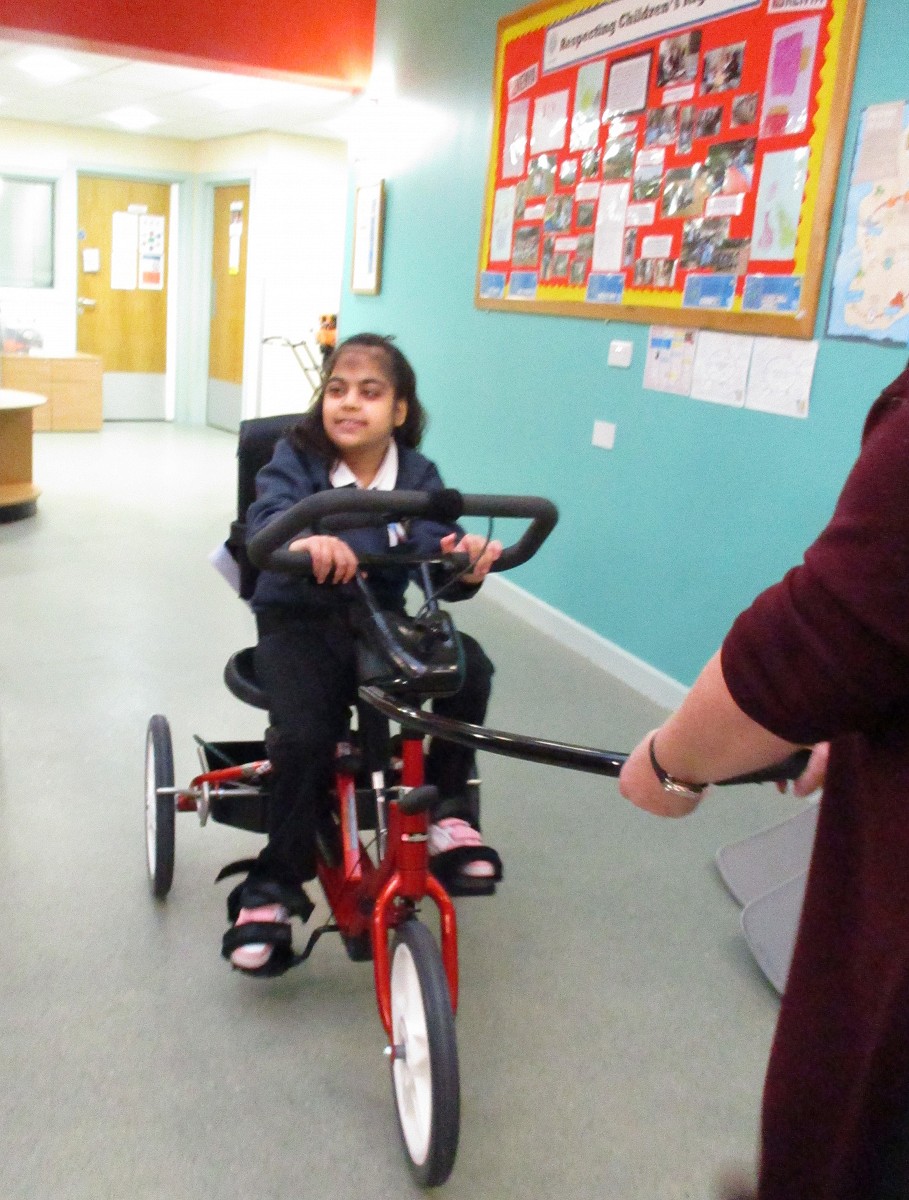 Newfield Perfect Picnic in the Park - MOVE