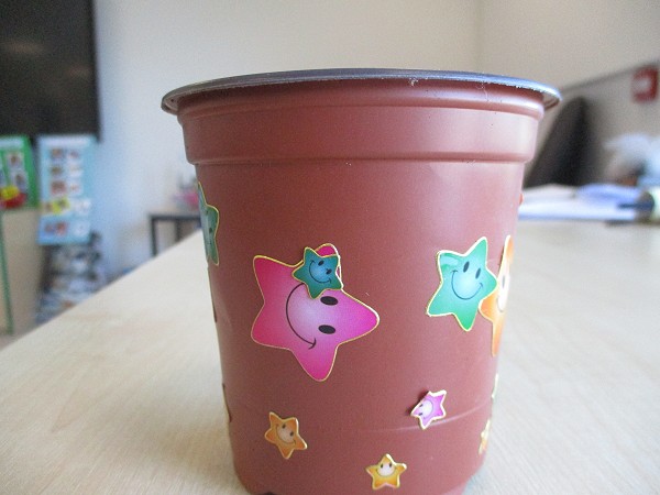plant pot