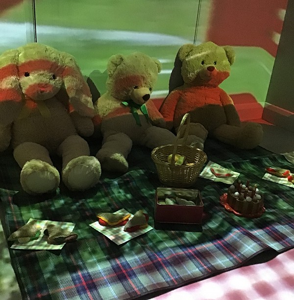 teddy picnic