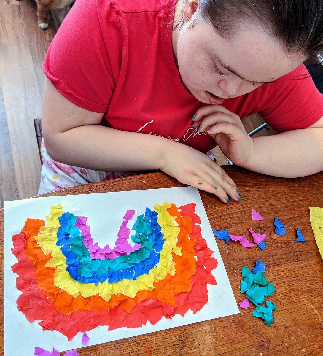 COVID-19 - Pupil Catch Up Part 4