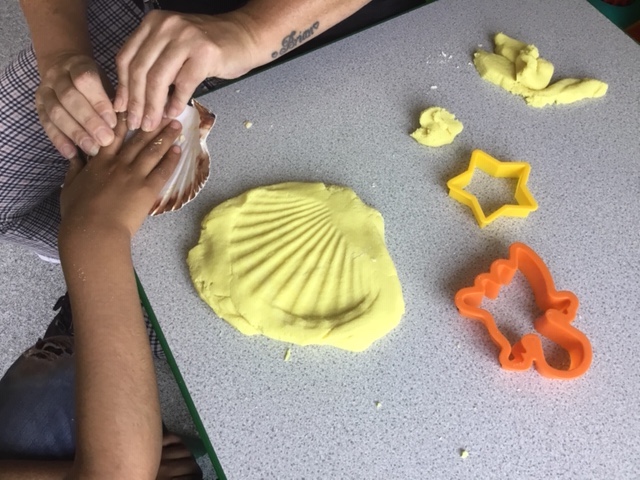 Summer Activities in the Sunshine