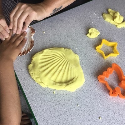 Summer Activities in the Sunshine