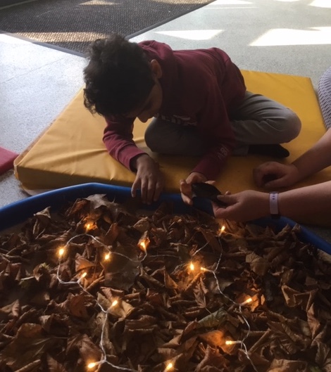 Autumn Learning Part II