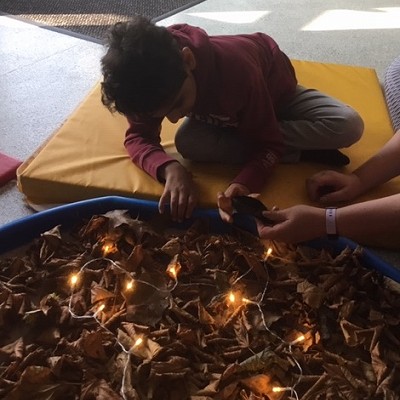 Autumn Learning Part II