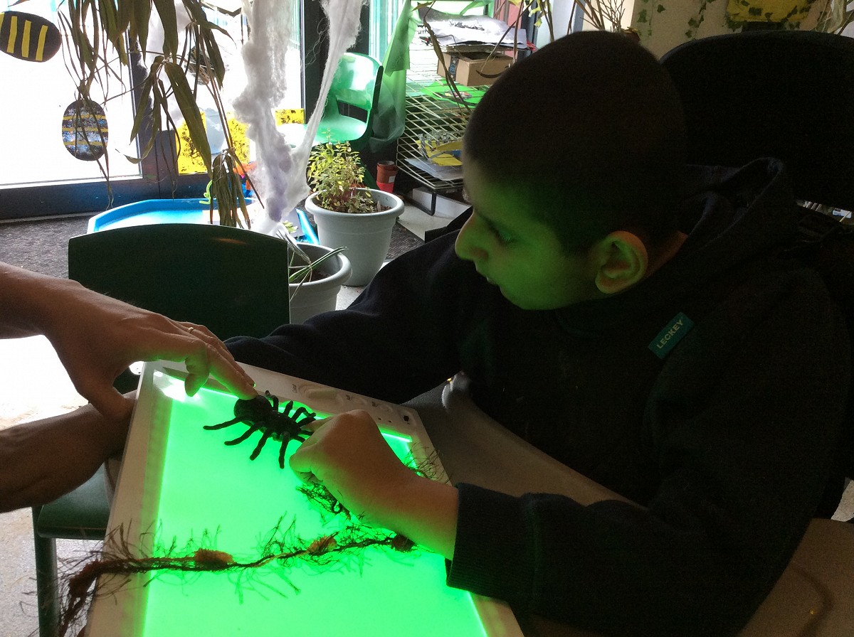 Busy Bees and other Creatures...